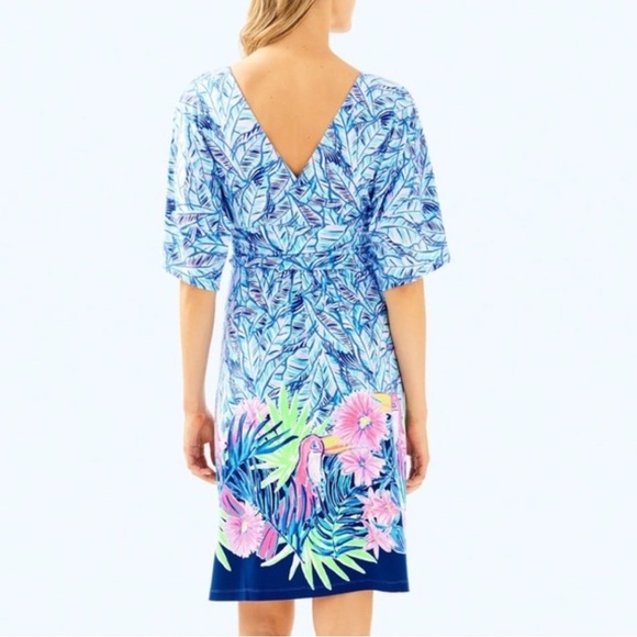 Lilly Pulitzer Parigi Dress Bennett Blue Lets Mango Size XL - Picture 3 of 10